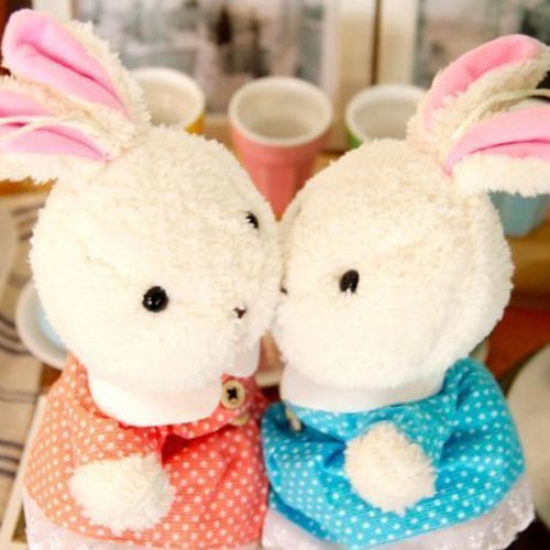 Couple Rabbit Pen Case