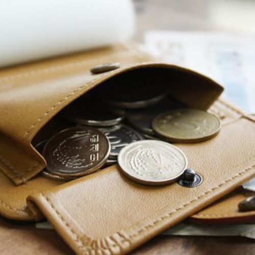 Alice's Pocket Wallet