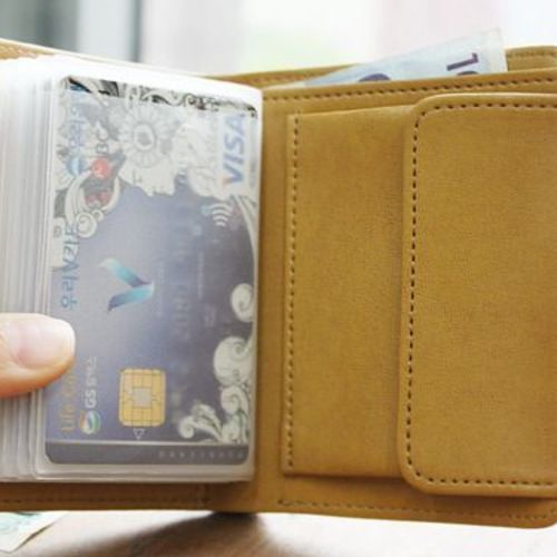 Alice's Pocket Wallet