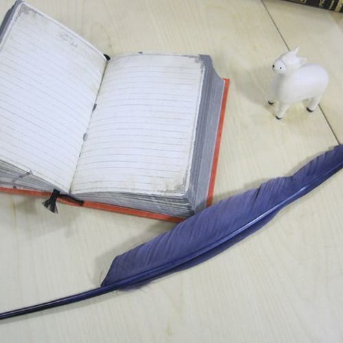 Magic Feather Pen - Image 4