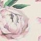 Large Blossom Notebook, Peony