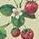 Large Blossom Notebook, Strawberry