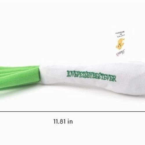 Squeaky Green Onion Cushion