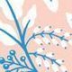 Pour Vous Harmony Diary, Marronnier
