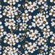 Pour Vous Harmony Diary, Night Blossom