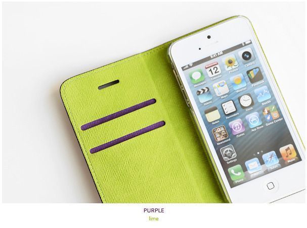iPhone 5 Flip Case