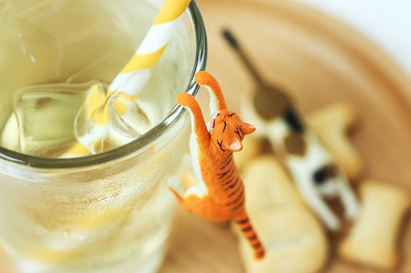 Cat Deco Figure