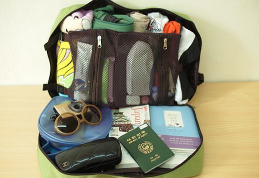 Freeport Multipurpose Travel Bag