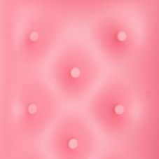 Cushion Anti Skimming Passport Case, Coral
