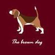 Tailorbird Felt Pouch, Dog (S)