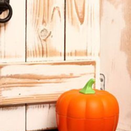 Pumpkin Ash Tray - Image 7