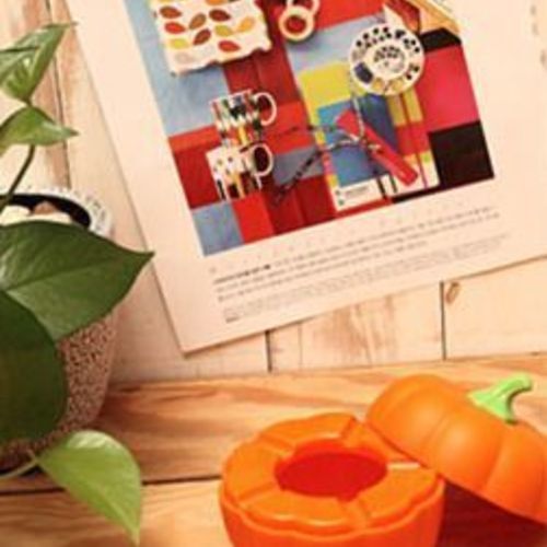 Pumpkin Ash Tray - Image 6