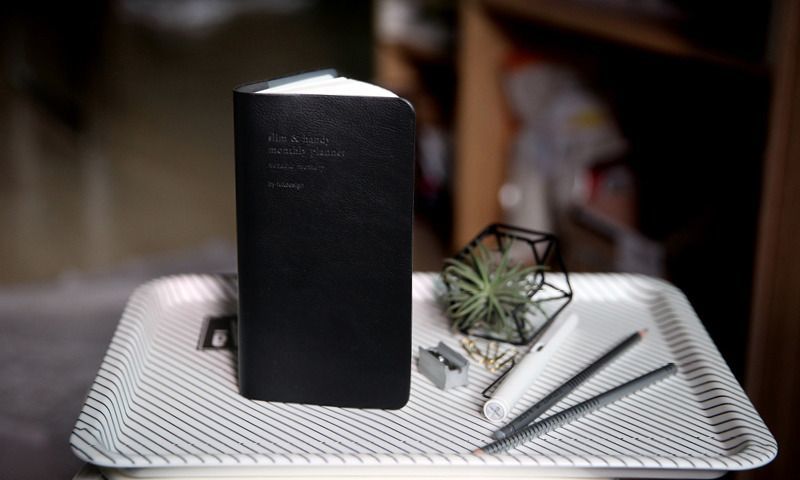 2017 Slim & Handy Monthly Planner