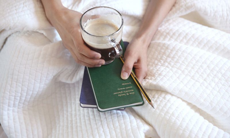 2017 Slim & Handy Monthly Planner