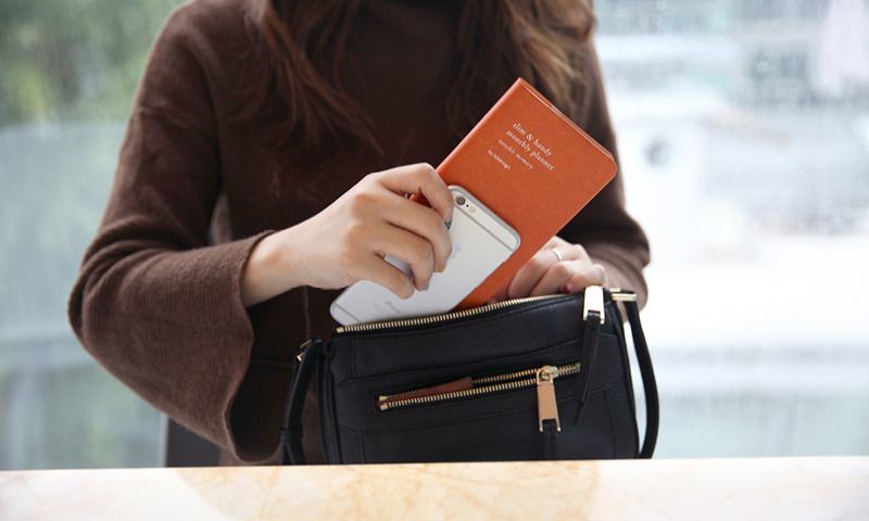 2017 Slim & Handy Monthly Planner