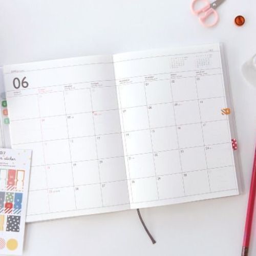 2017 Lithography Journal Planner