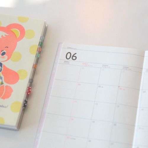 2017 Lithography Journal Planner