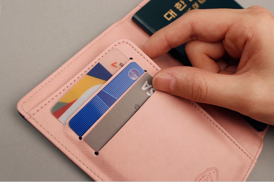 Ooh La La Leather Passport Case