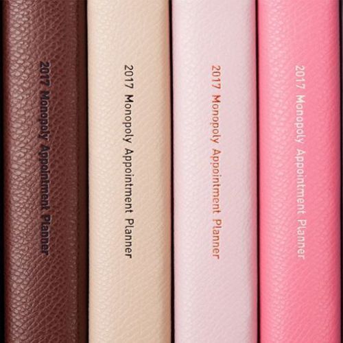 2017 Large Monthly Appointment Planner - Image 22