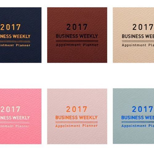 2017 Large Monthly Appointment Planner - Image 21