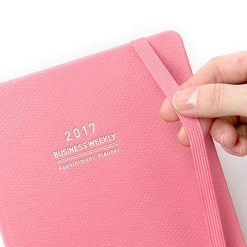 2017 Large Monthly Appointment Planner - Image 19