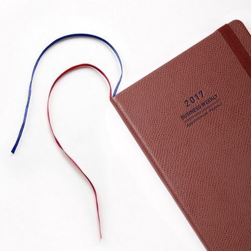 2017 Large Monthly Appointment Planner - Image 16