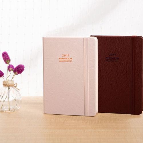 2017 Large Monthly Appointment Planner - Image 17