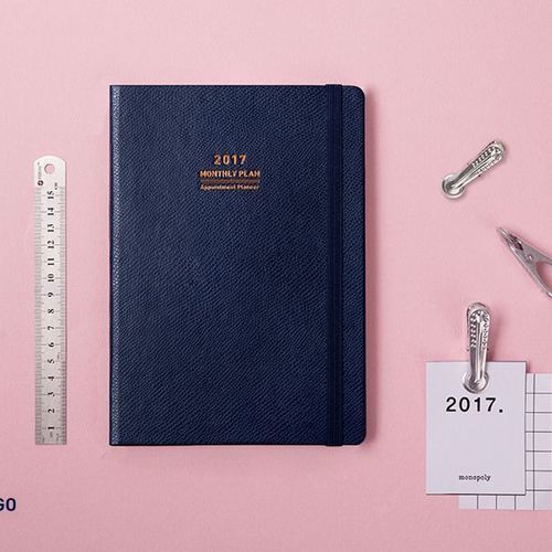 2017 Large Monthly Appointment Planner - Image 24