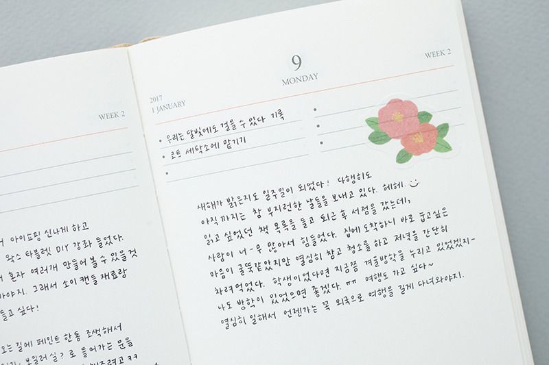 2017 Object Daily Planner