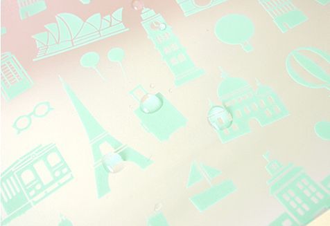 Floral Transparent PVC Pouch