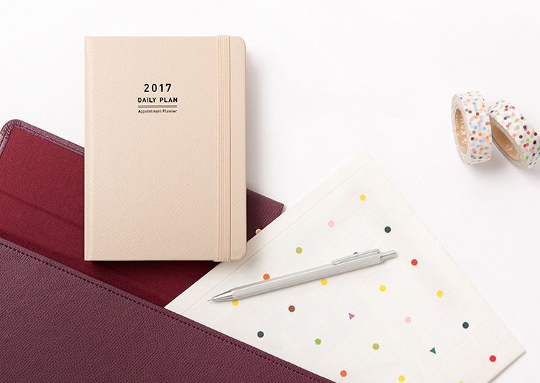 2017 Daily Appointment Planner