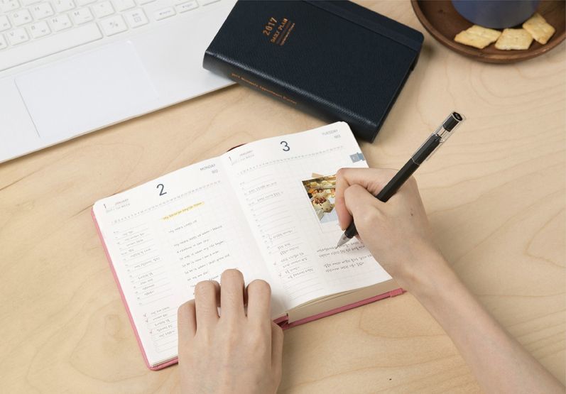 2017 Daily Appointment Planner