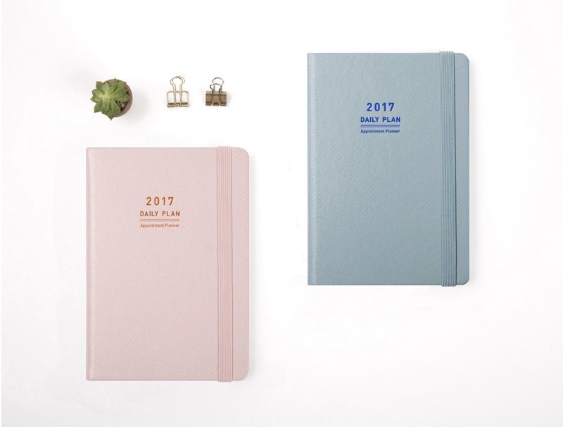 2017 Daily Appointment Planner