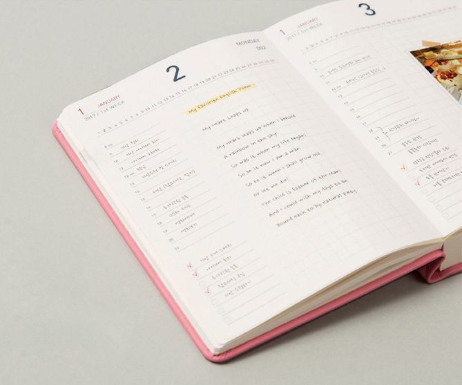 2017 Daily Appointment Planner