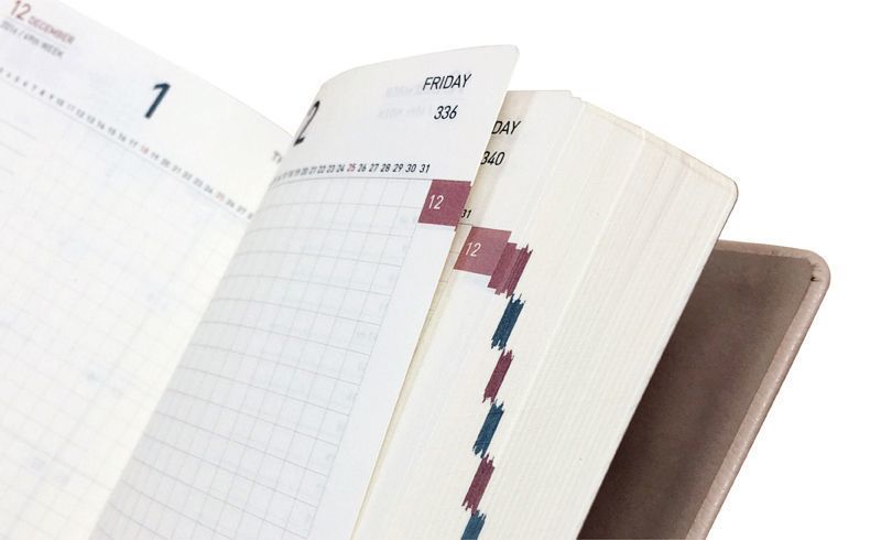 2017 Daily Appointment Planner