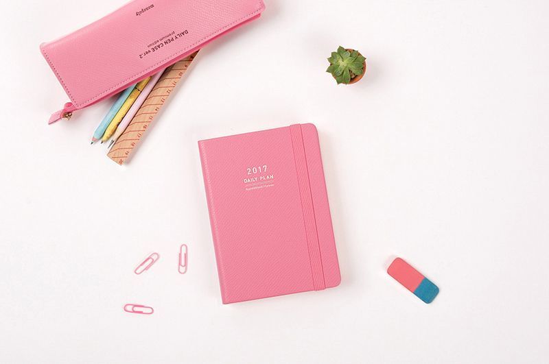 2017 Daily Appointment Planner