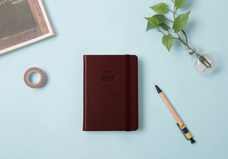 2017 Daily Appointment Planner