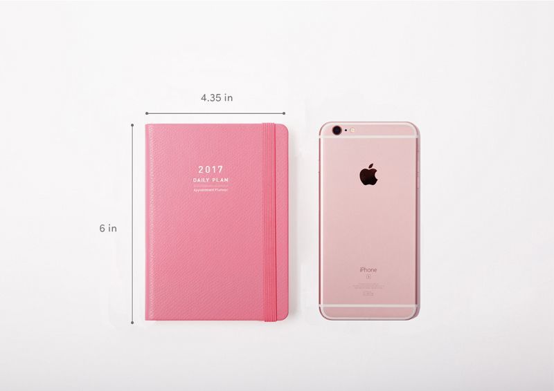 2017 Daily Appointment Planner