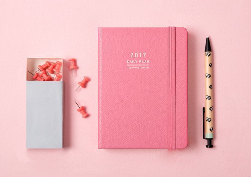 2017 Daily Appointment Planner