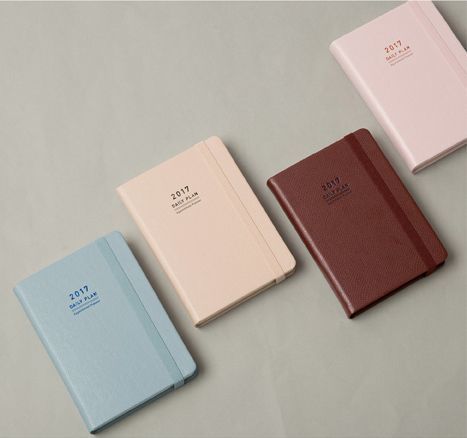 2017 Daily Appointment Planner