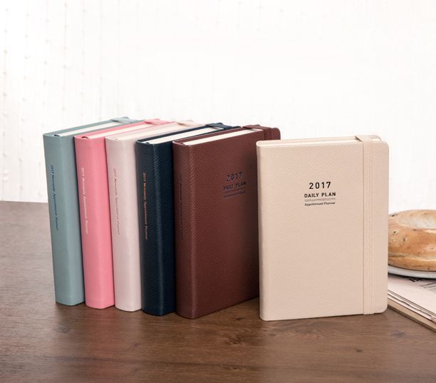 2017 Daily Appointment Planner
