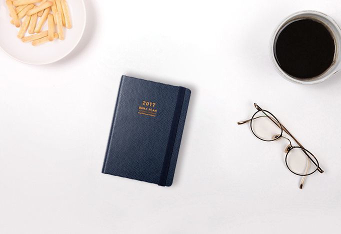 2017 Daily Appointment Planner