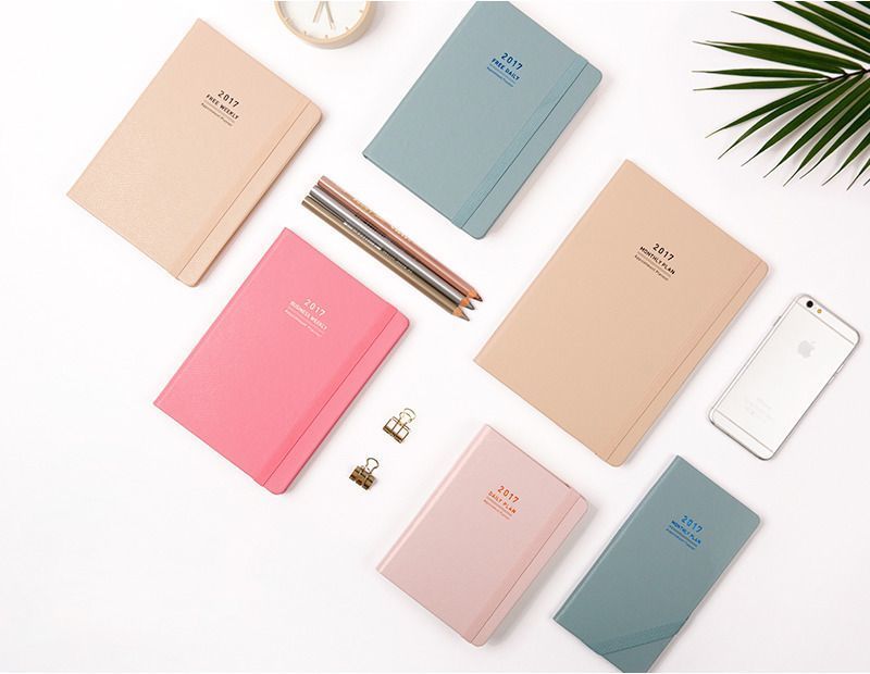 2017 Daily Appointment Planner