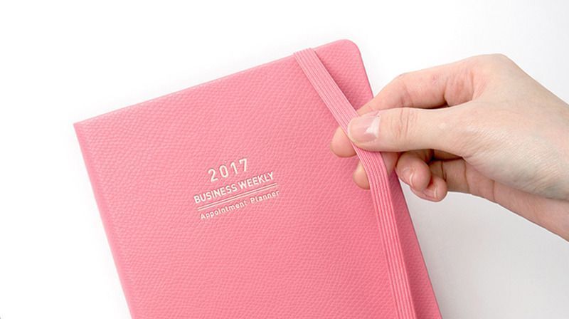 2017 Daily Appointment Planner