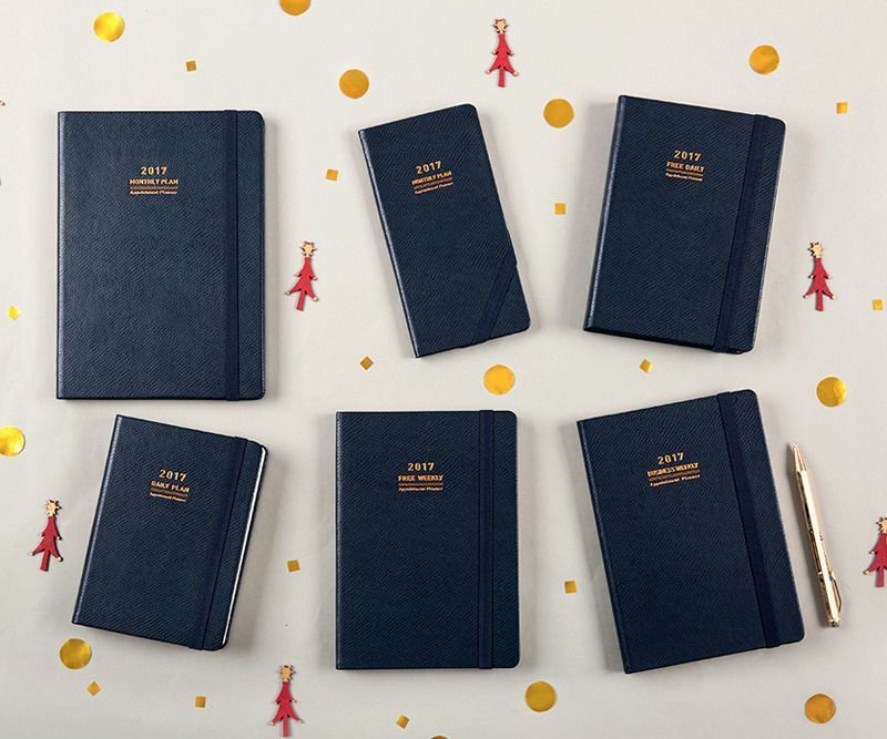 2017 Daily Appointment Planner