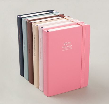 2017 Medium Daily Appointment Planner