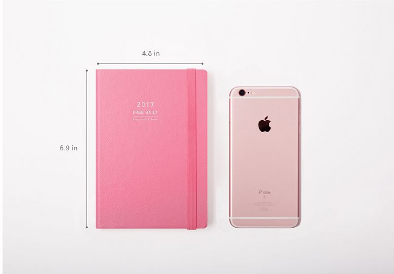 2017 Medium Daily Appointment Planner