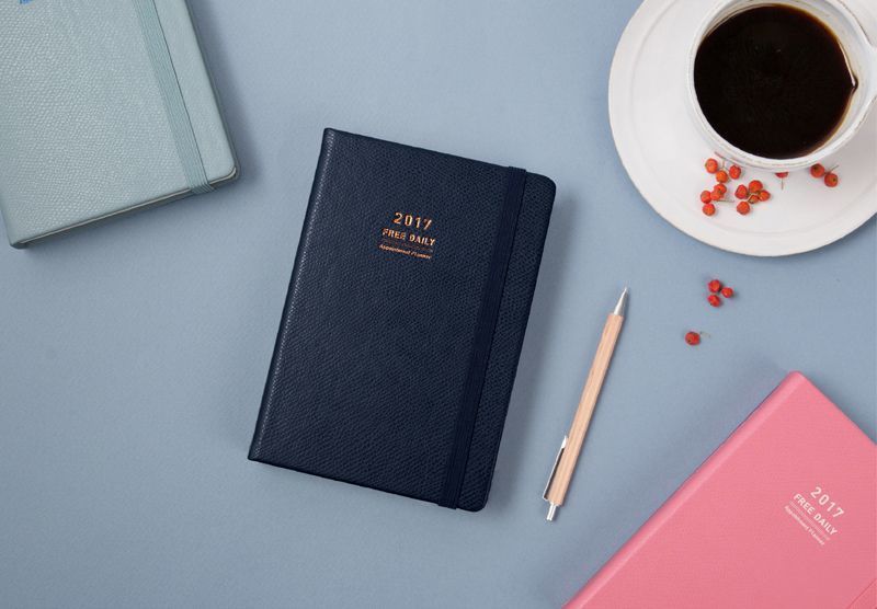 2017 Medium Daily Appointment Planner