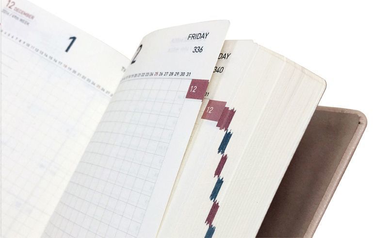 2017 Medium Daily Appointment Planner