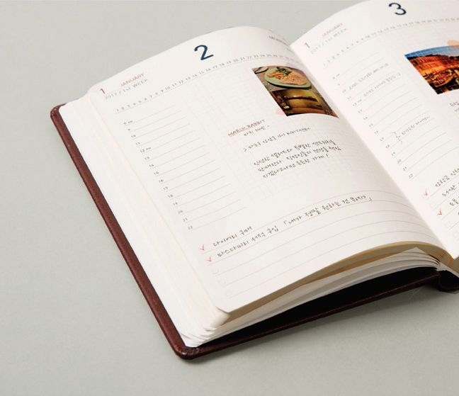 2017 Medium Daily Appointment Planner